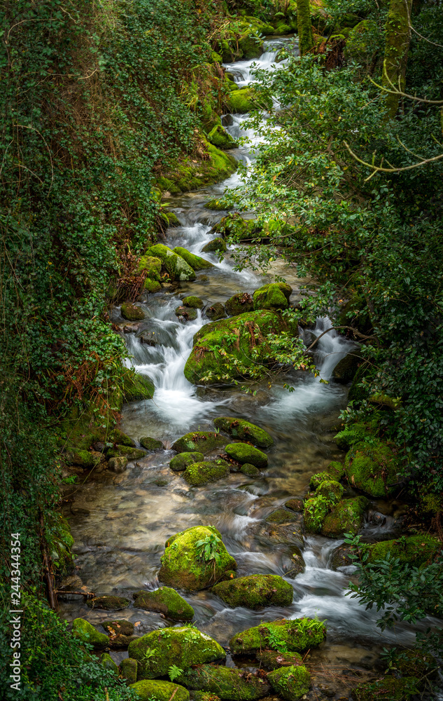 The River The River