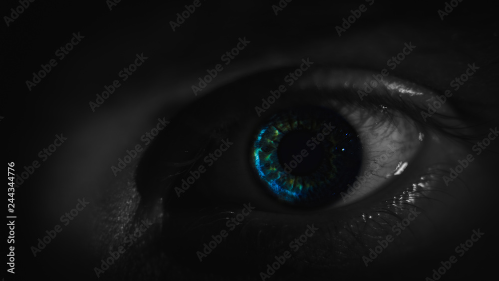 Menschen Auge Menschen Auge