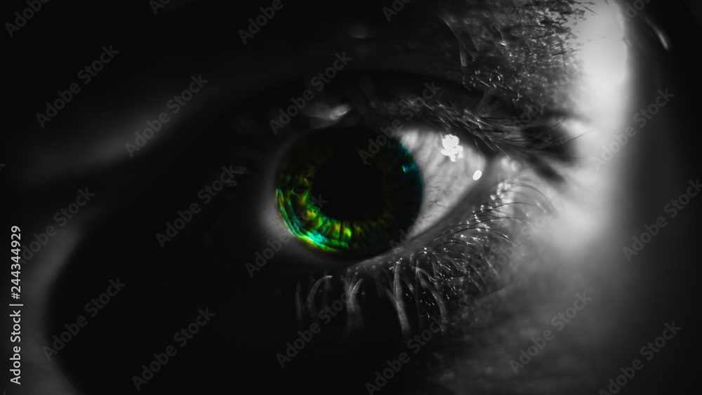 Menschen Auge Menschen Auge