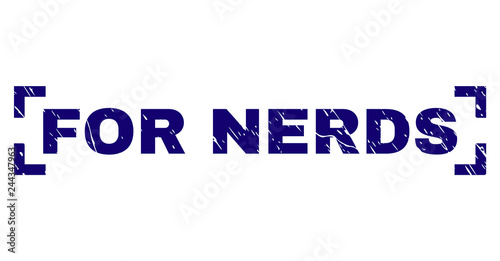 FOR NERDS text seal print with distress texture. Text title is placed inside corners. Blue vector rubber print of FOR NERDS with corroded texture. photo