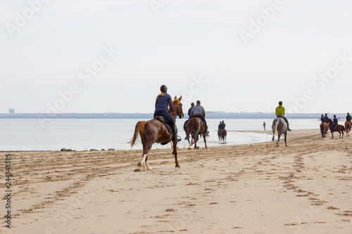 riders on horses on the beach in Renesse, Zeeland, the Netherlands