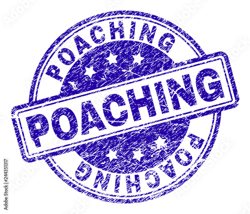 POACHING stamp seal watermark with grunge texture. Designed with rounded rectangles and circles. Blue vector rubber print of POACHING tag with grunge texture.