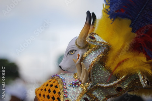 Adereço de Carnaval