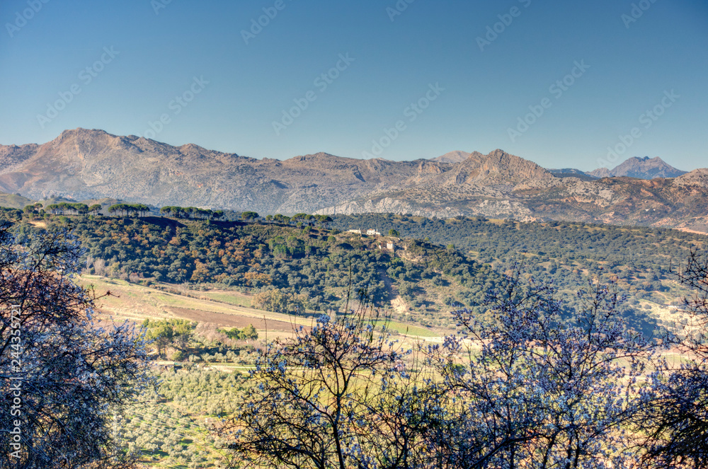 Andalusian countryside, panorama from Ronda, Spain