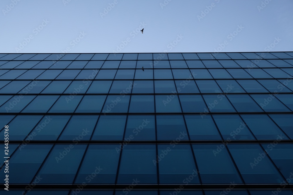 Fototapeta premium Birds Eye View