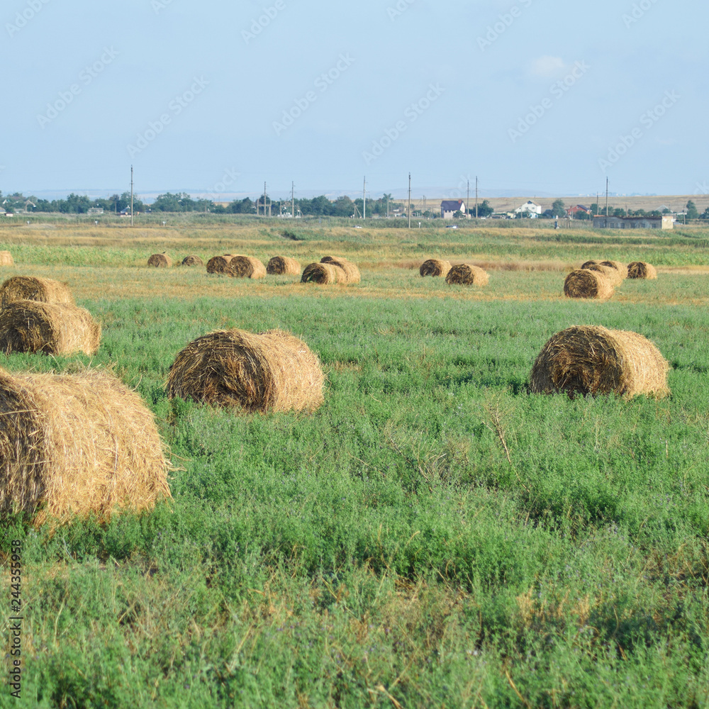 Haystacks in the field Haystacks in the field