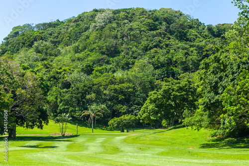 Golf Hole  Trees Green Scenic Course photo