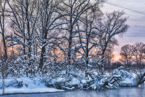 winter landscape with trees in snow on riverbank © photollurg