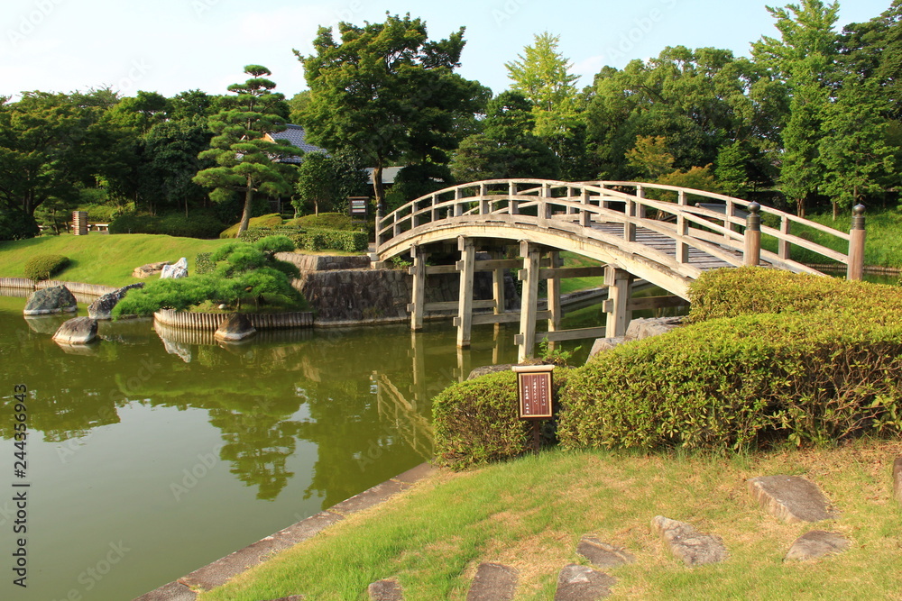 Fototapeta premium 日本庭園