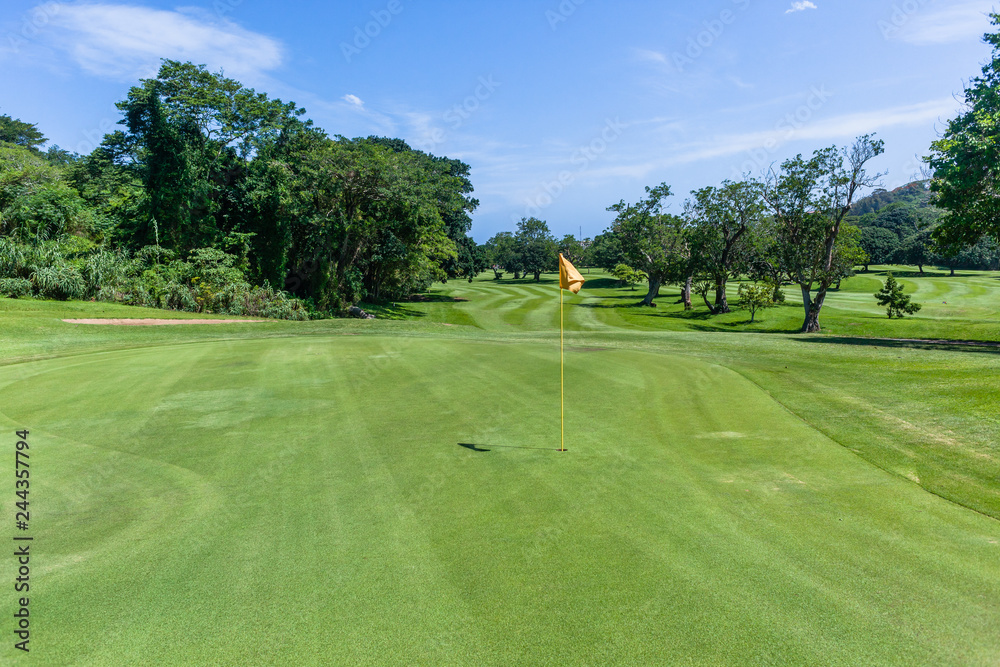 Fototapeta premium Golf Hole Fairway Trees Green Scenic Course