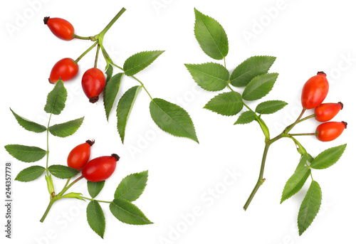 Rose hips isolated on white, top view photo