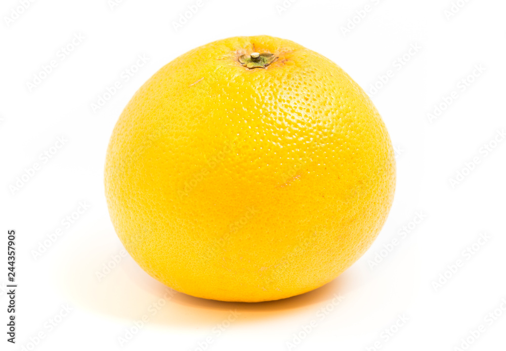 grapefruit on a white background grapefruit on a white background