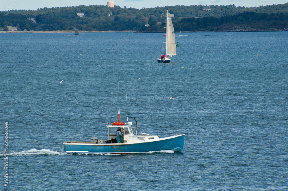 Fototapeta premium Employment