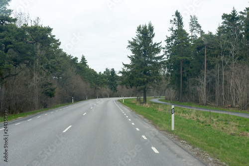 asphalt road passing through the forest