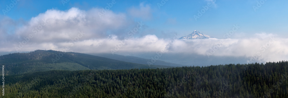 Aerial misty view of the summer panorama with Mt. Hood above the clouds in Oregon state in USA.