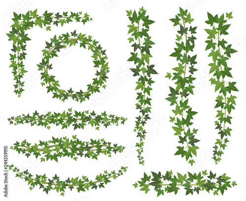 Canvas-taulu Green ivy