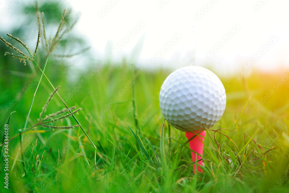 Golf ball on tee in beautiful golf course at sunset background. Golf ball on tee in beautiful golf course at sunset background.