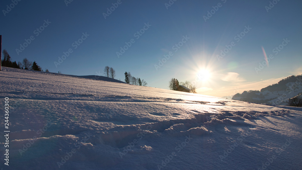 Sonne in Schneelandschaft mit Bäumen