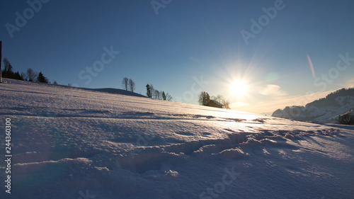 Obraz na płótnie Sonne in Schneelandschaft mit Bäumen w salonie