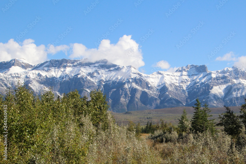 Mountains Beyond The Trees, Jasper National Park, Alberta