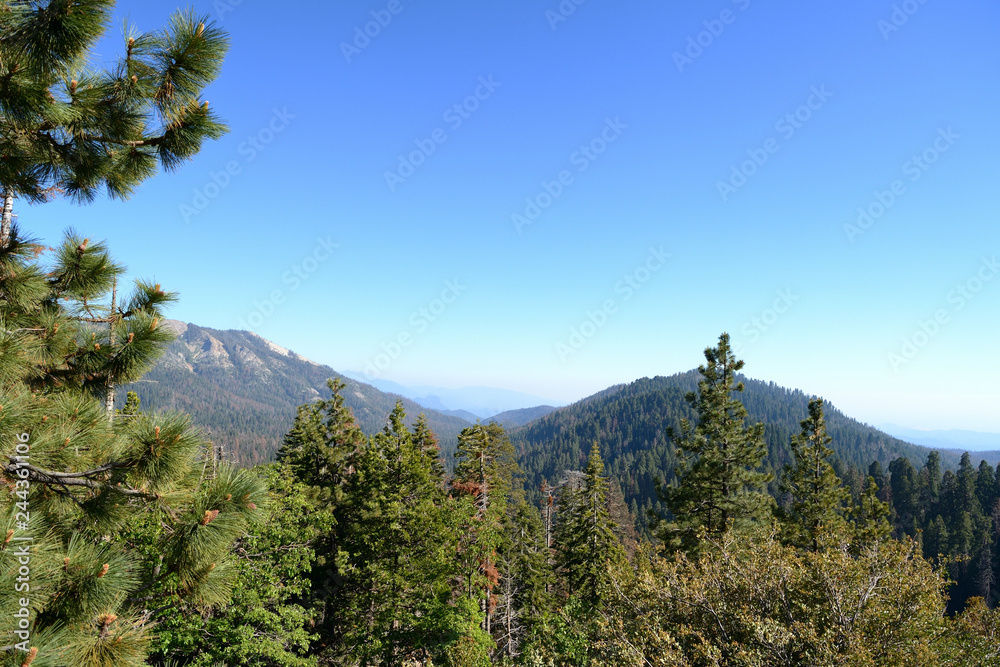 Beautiful landscape in Sequoia National Park, California, USA