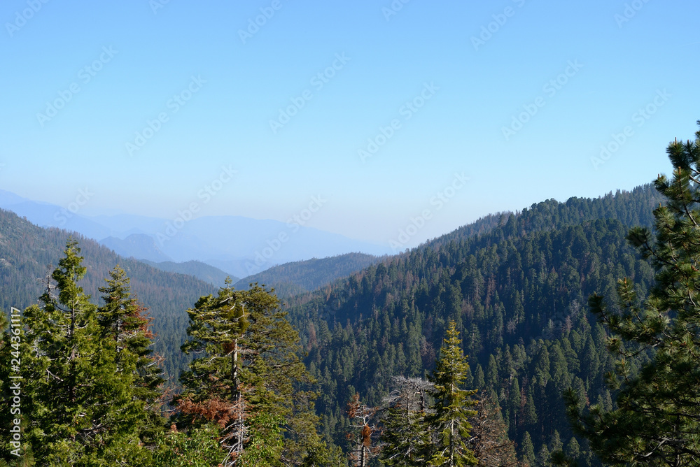 Beautiful landscape in Sequoia National Park, California, USA