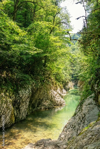 Mountain River in the Canyon with Rocky slopes and green trees