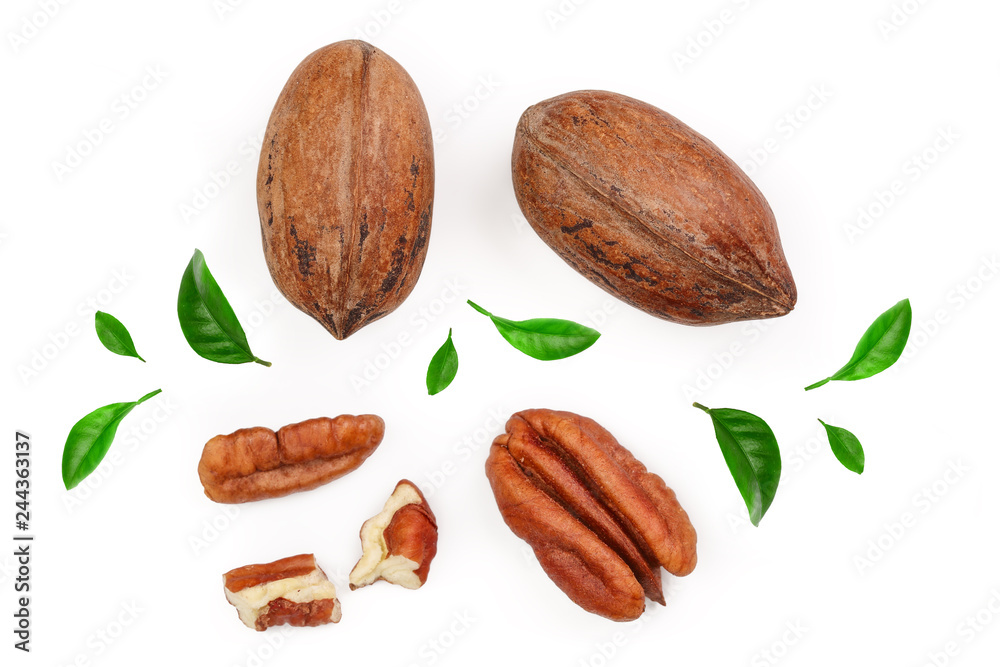 pecan nut decorated with green leaves isolated on white background. Top view. Flat lay pecan nut decorated with green leaves isolated on white background. Top view. Flat lay