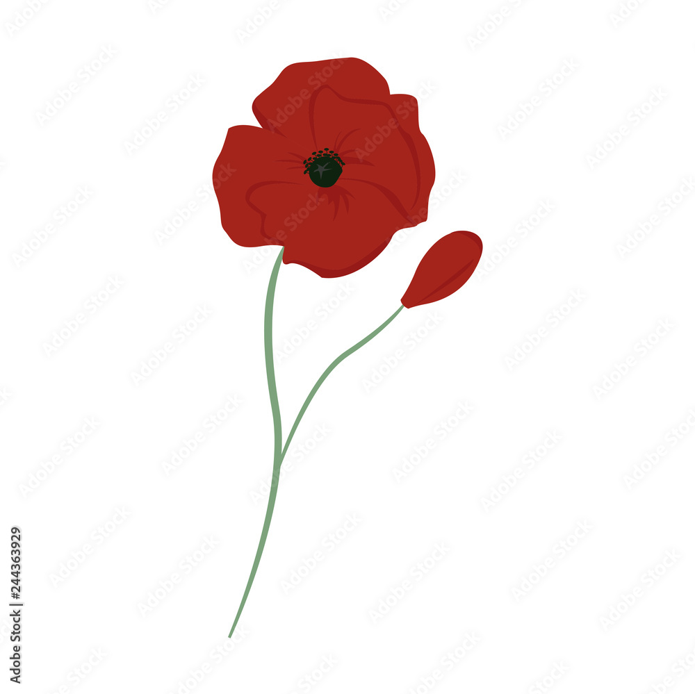 Obraz Poppy on white background for graphic and web design, Modern simple vector sign. Internet concept. Trendy symbol for website design web button or mobile app