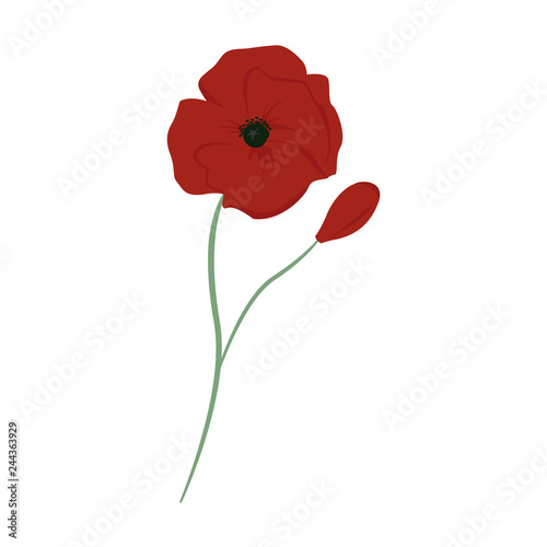 Poppy on white background for graphic and web design, Modern simple vector sign. Internet concept. Trendy symbol for website design web button or mobile app