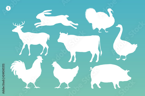 Animals silhouette set. White silhouette of animals