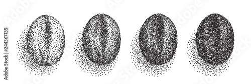 Various Stages of Coffee Beans Roasting in Engraving Style