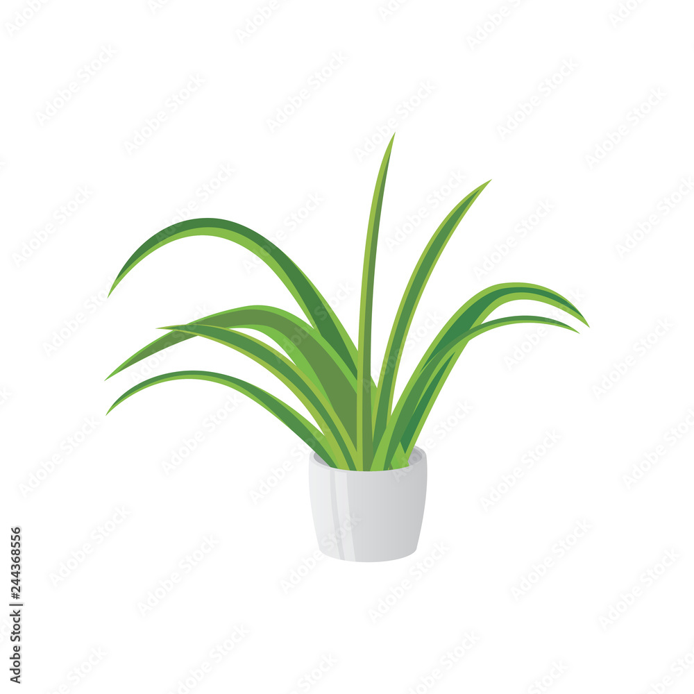 Homemade cute home plant in a beautiful colorful pot. Homemade cute home plant in a beautiful colorful pot.