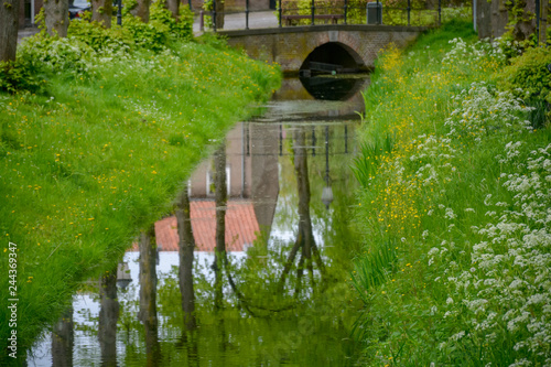 Small canal with running water, big trees and green grass sides in old city Heusden, North Brabant, Netherlands