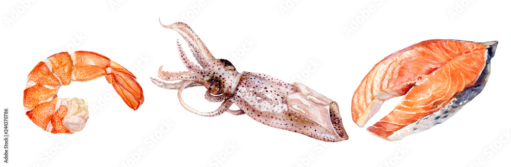 Watercolor hand drawn piece of salmon fish, shrimp, squid. Watercolor hand drawn piece of salmon fish, shrimp, squid.