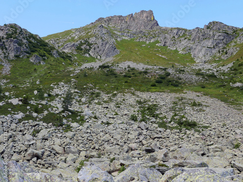 meravigliosa vista delle dolomiti d'estate, tra rocce maestose e verde photo