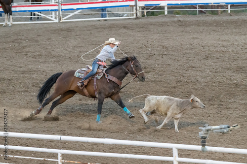 CODY, WYOMING - JUNE 29, 2018: Cody Stampede Park arena. Cody is the Rodeo Capitol of the World. 2018 marks 80th anniversary of nightly performances. photo