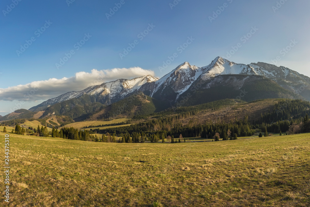 Fototapeta premium Tatry - Carpathians Mountains