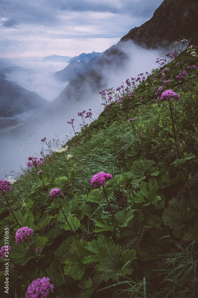 Fototapeta premium Morgennebel in den Alpen