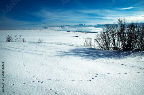 snowy meadows on a mountain background © Jozef Jankola