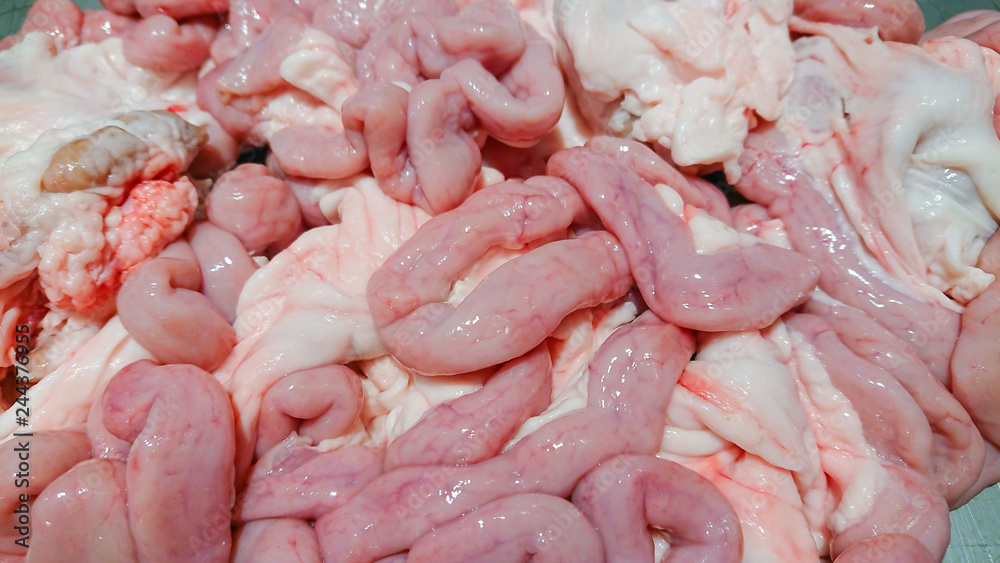 Small intestines fresh of a pig, cooking for food Small intestines fresh of a pig, cooking for food