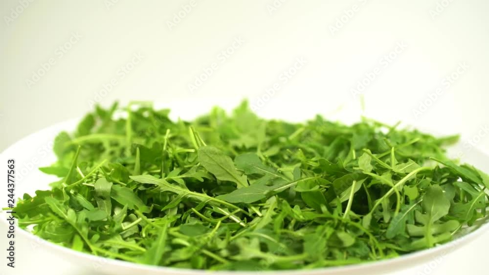 Closeup side view of white plate full of fresh green arugula salad leaves rotating isolated on white background. Rucola ready for eating. Real time full hd video footage. Closeup side view of white plate full of fresh green arugula salad leaves rotating isolated on white background. Rucola ready for eating. Real time full hd video footage.
