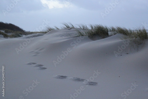 Dunes at the coast of the North Sea