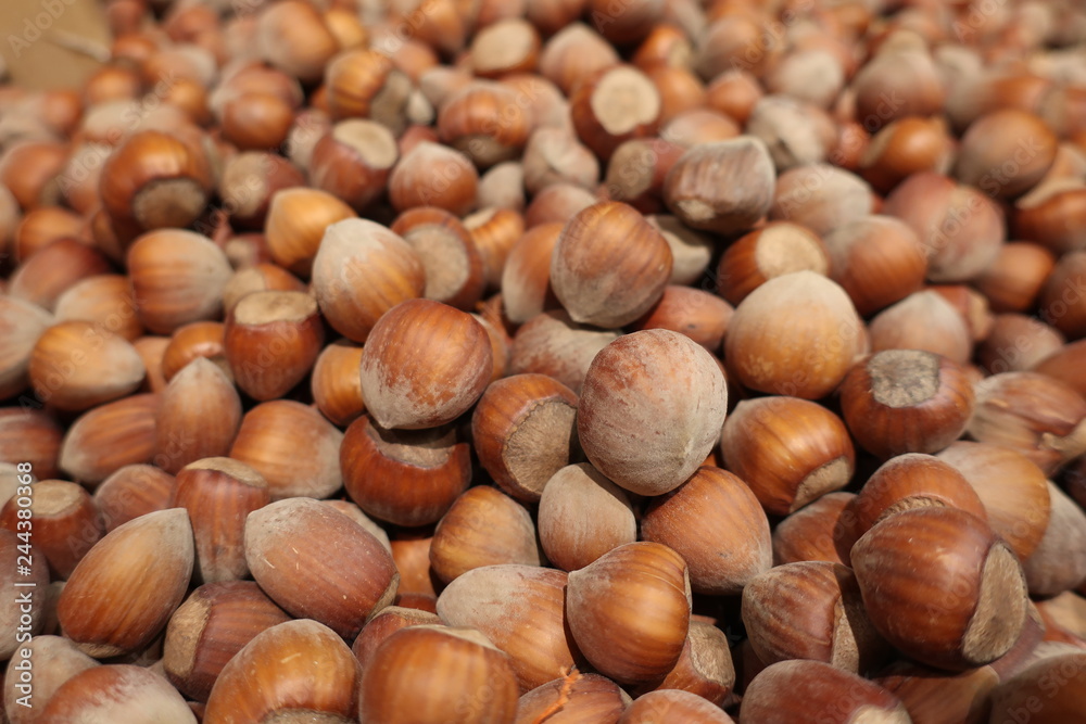 Hazelnuts in a grocery store, closeup, background Hazelnuts in a grocery store, closeup, background