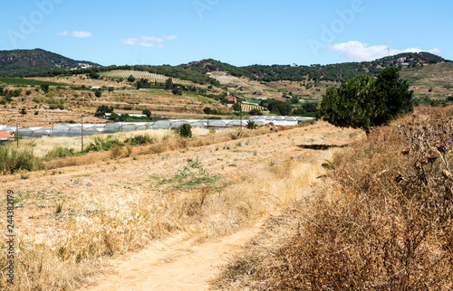 Alella mountains in Barcelona, Spain on a sunny day