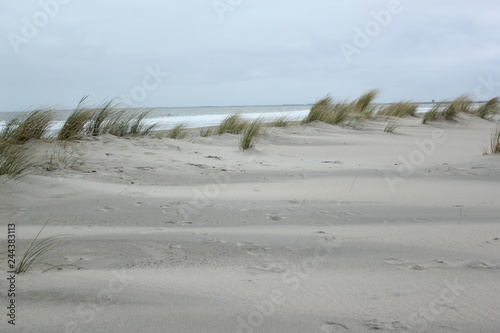 Fototapeta Naklejka Na Ścianę i Meble -  Dunes at the coast of the North Sea