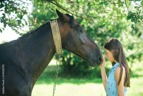 The power of trust and empathy. Young woman with horse on summer landscape. Pretty girl at horse ranch. Adorable horse owner with her pet. Making friends with horse, friendship and love