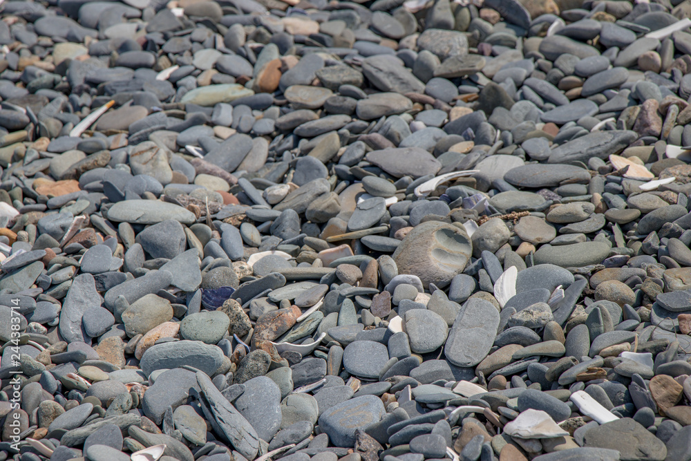 rocks at the beach rocks at the beach