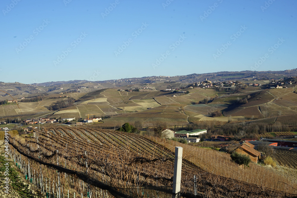 The hills of the Langhe in Winter, Piedmont - Italy