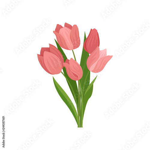Cute pink tulips with green leaves. Beautiful spring bouquet. Nature theme. Flat vector illustration